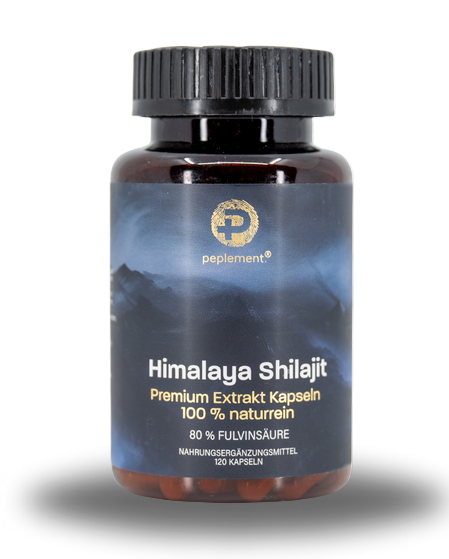 SHILAJIT KASPELN 120 STK.