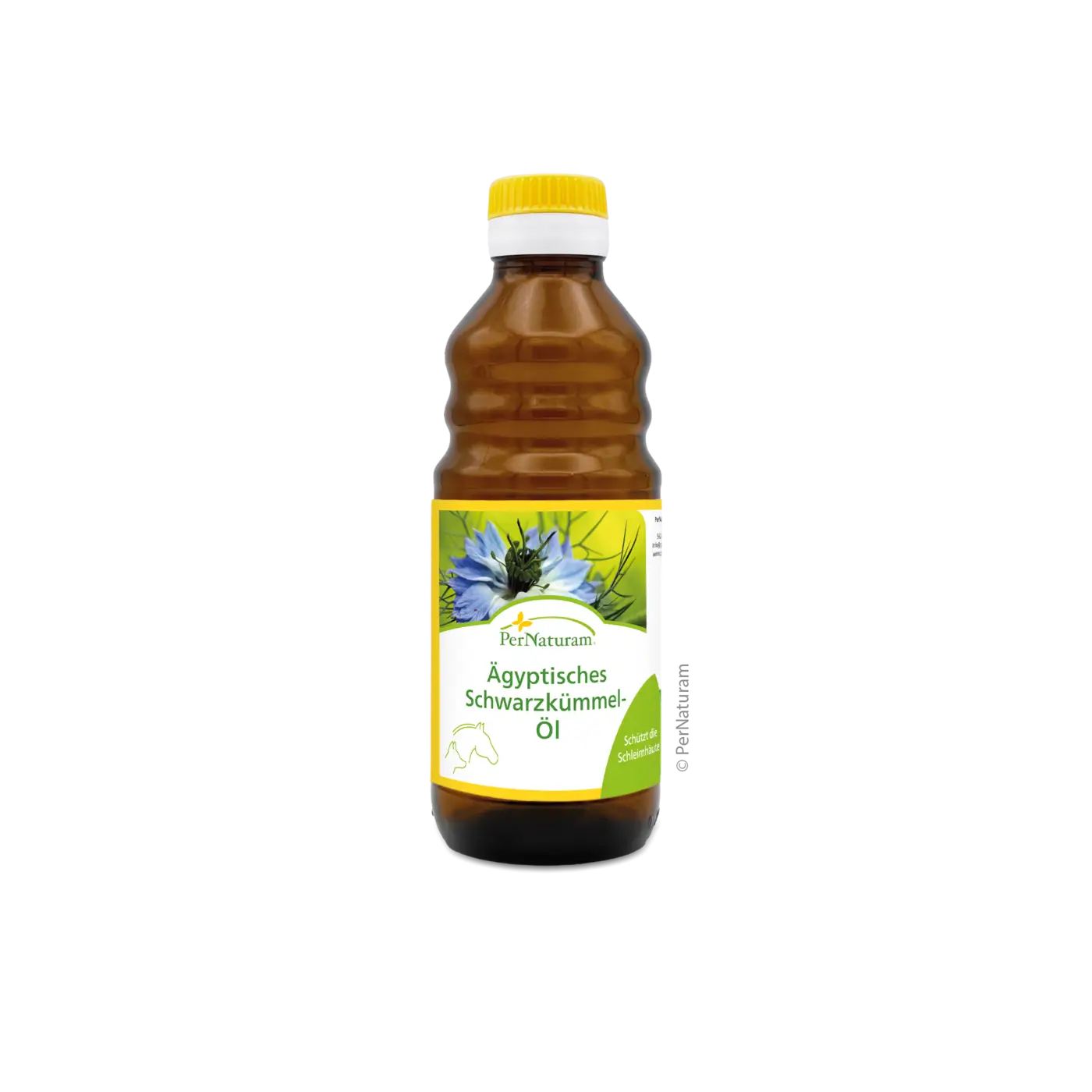 PerNaturam Ägypt Schwarzkümmel-Öl 250ML