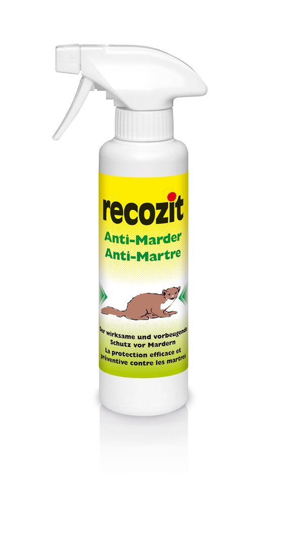 #Grösse_250 ml