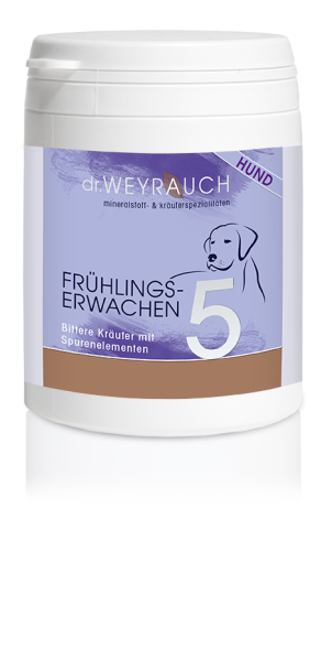 WEYRAUCH Frühlingserwachen Kps. Hund 60